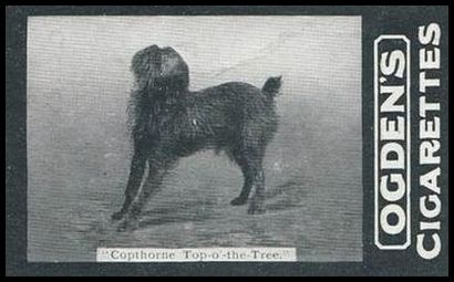 161 Copthrone Top o the Tree